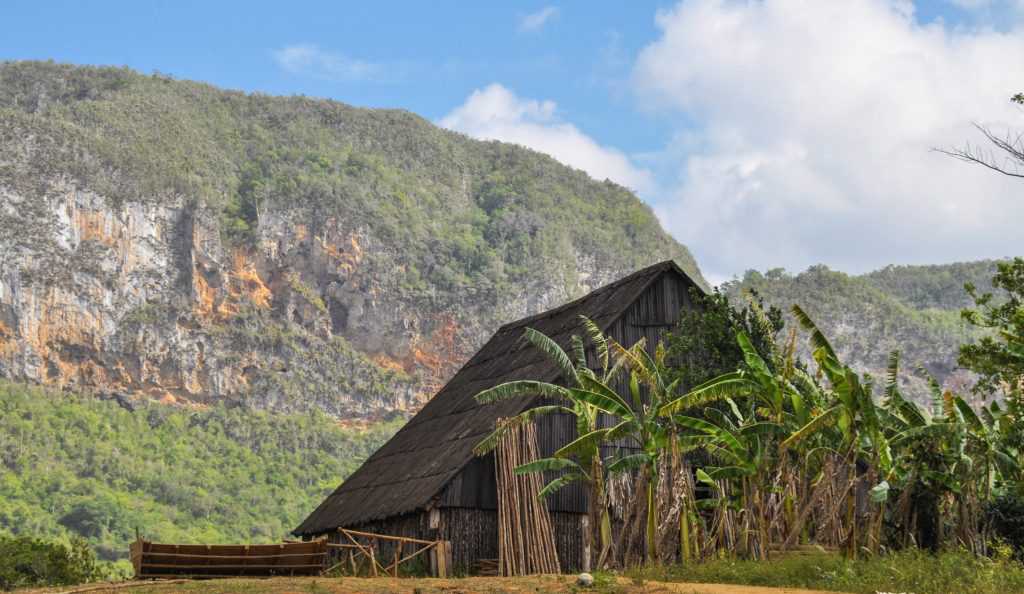 Viñales – obowiązkowy przystanek na Kubie. Zobacz jak najtaniej dojechać z Havany do Viñales.