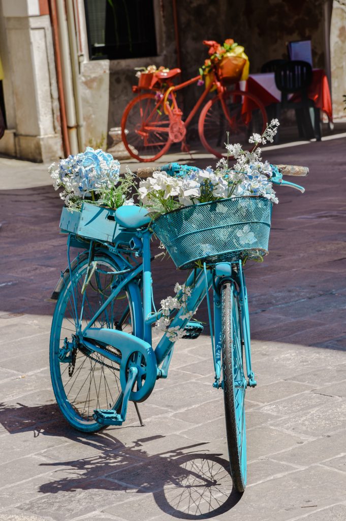 chioggia rower